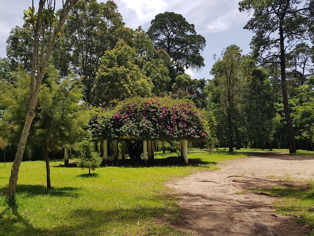 Parque Minerva, zona 2, Ciudad de Guatemala